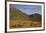 Field of Namaqualand daisy (Jakkalsblom) (Dimorphotheca sinuata), Namakwa, Namaqualand, South Afric-James Hager-Framed Photographic Print