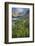 Field of Narrowleaf Arnica, Titcomb Basin, Bridger Wilderness, Wind River Range, Wyoming.-Alan Majchrowicz-Framed Photographic Print