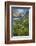 Field of Narrowleaf Arnica, Titcomb Basin, Bridger Wilderness, Wind River Range, Wyoming.-Alan Majchrowicz-Framed Photographic Print