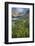 Field of Narrowleaf Arnica, Titcomb Basin, Bridger Wilderness, Wind River Range, Wyoming.-Alan Majchrowicz-Framed Photographic Print