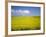 Field of oilseed rape, Yokohama, Aomori Prefecture, Japan-Aso Fujita-Framed Photographic Print