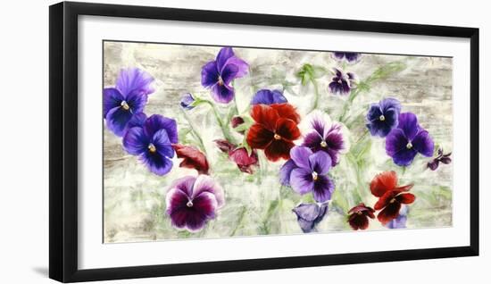 Field of Pansies-Jenny Thomlinson-Framed Art Print