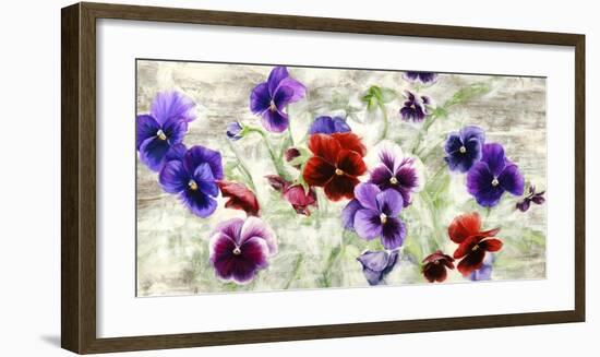 Field of Pansies-Jenny Thomlinson-Framed Art Print