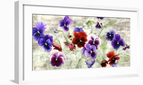 Field of Pansies-Jenny Thomlinson-Framed Art Print