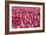 Field of Pink-Dana Styber-Framed Photographic Print