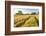 Field of Poppies and Old Abandoned Farmhouse, Tuscany, Italy-Peter Adams-Framed Photographic Print