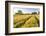 Field of Poppies and Old Abandoned Farmhouse, Tuscany, Italy-Peter Adams-Framed Photographic Print