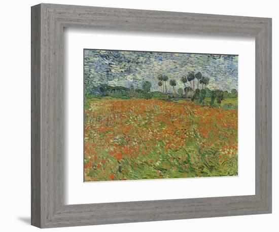 Field of Poppies, Auvers-Sur-Oise, 1890-Vincent van Gogh-Framed Giclee Print