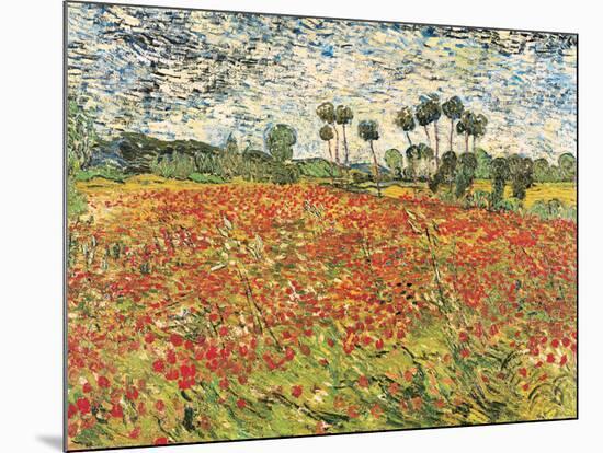 Field of Poppies, Auvers-Sur-Oise, c.1890-Vincent van Gogh-Mounted Art Print