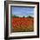 Field of Poppies I-Tim OToole-Framed Art Print