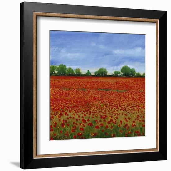 Field of Poppies I-Tim OToole-Framed Art Print