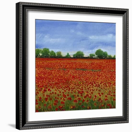 Field of Poppies I-Tim OToole-Framed Art Print