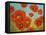 Field of Poppies I-Vivien Rhyan-Framed Stretched Canvas