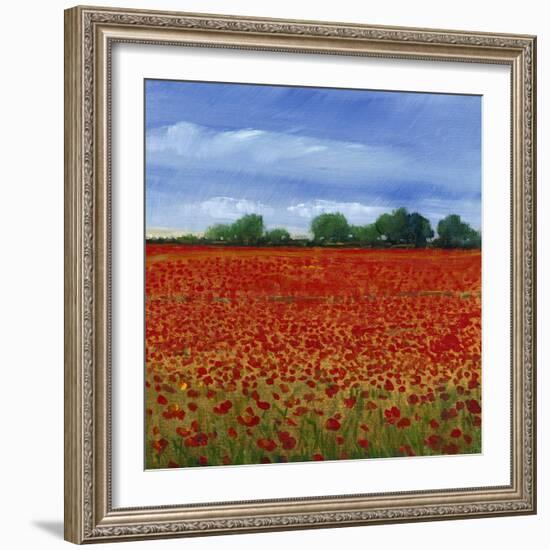 Field of Poppies II-Tim OToole-Framed Art Print