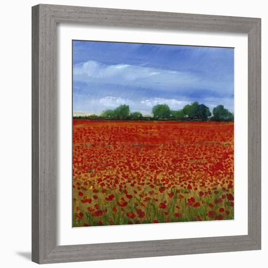 Field of Poppies II-Tim OToole-Framed Art Print