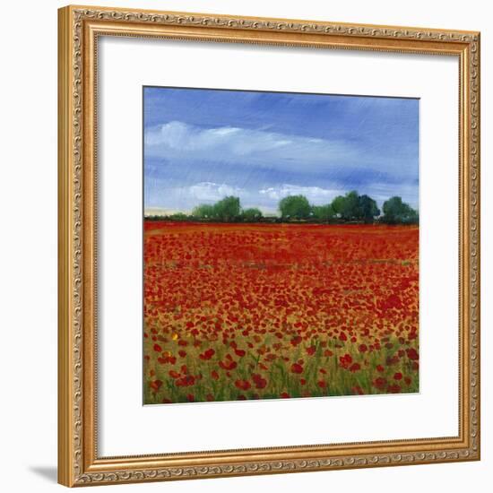 Field of Poppies II-Tim OToole-Framed Art Print