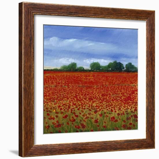 Field of Poppies II-Tim OToole-Framed Art Print