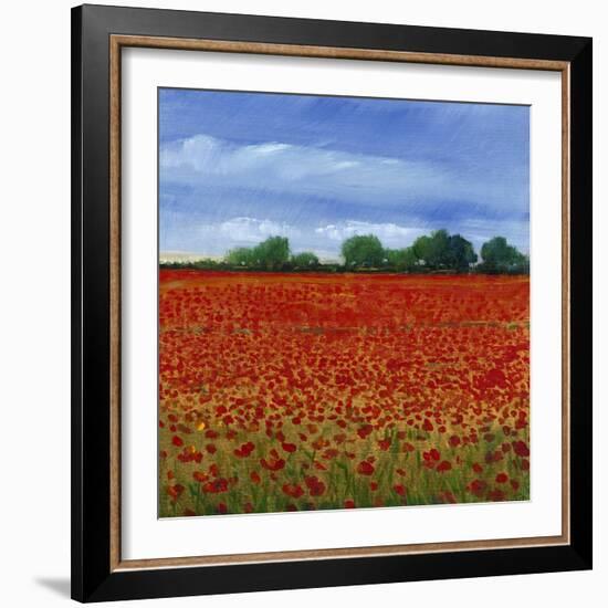 Field of Poppies II-Tim OToole-Framed Art Print