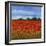 Field of Poppies II-Tim OToole-Framed Art Print