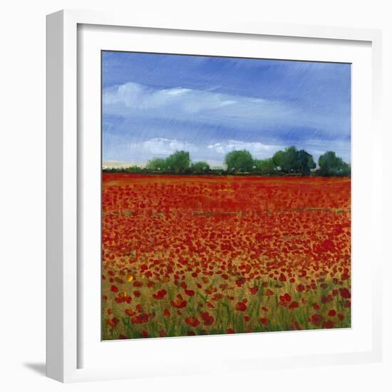 Field of Poppies II-Tim OToole-Framed Art Print