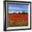 Field of Poppies II-Tim OToole-Framed Art Print