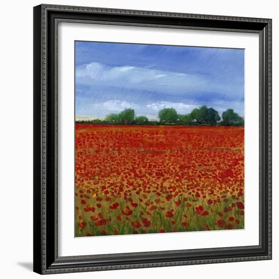 Field of Poppies II-Tim OToole-Framed Art Print