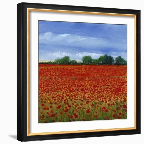 Field of Poppies II-Tim OToole-Framed Art Print