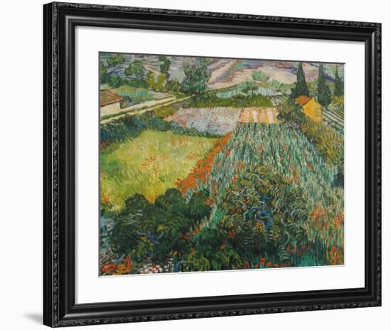 Field of Poppies, Saint-Remy, c.1889-Vincent van Gogh-Framed Art Print