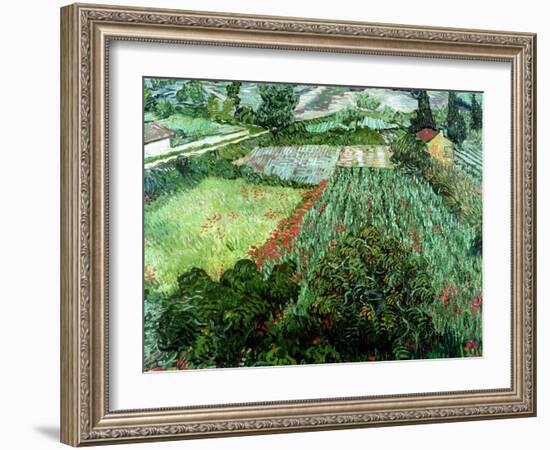 Field of Poppies, Saint-Remy, c.1889-Vincent van Gogh-Framed Giclee Print