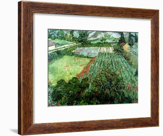 Field of Poppies, Saint-Remy, c.1889-Vincent van Gogh-Framed Giclee Print