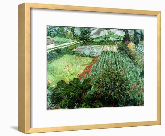 Field of Poppies, Saint-Remy, c.1889-Vincent van Gogh-Framed Giclee Print