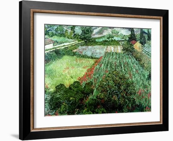 Field of Poppies, Saint-Remy, c.1889-Vincent van Gogh-Framed Giclee Print