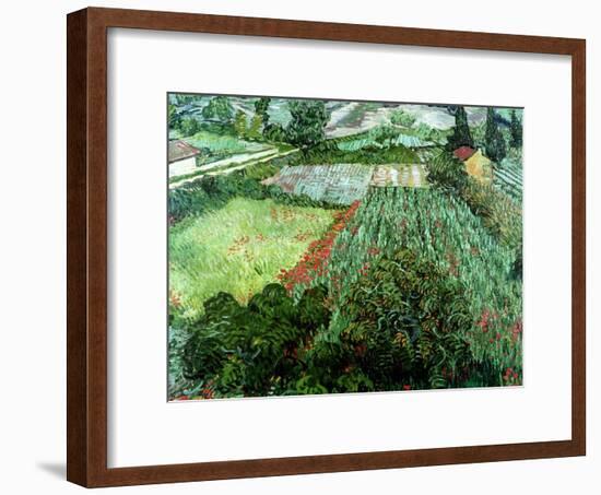 Field of Poppies, Saint-Remy, c.1889-Vincent van Gogh-Framed Giclee Print