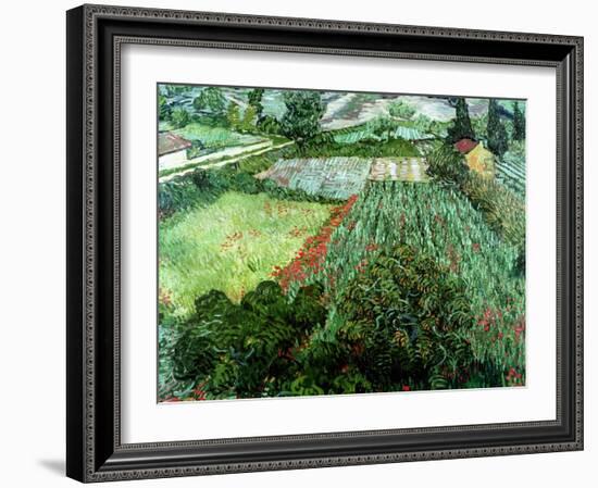 Field of Poppies, Saint-Remy, c.1889-Vincent van Gogh-Framed Giclee Print