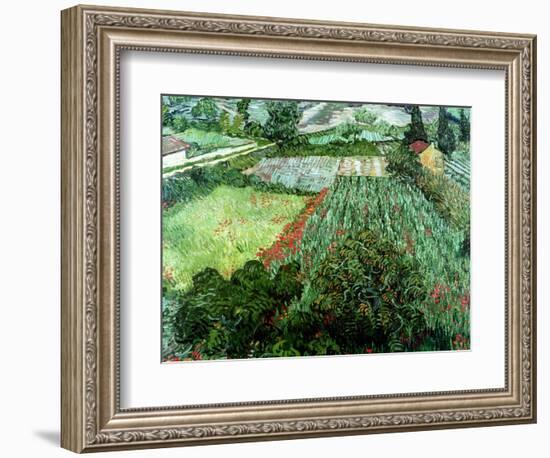 Field of Poppies, Saint-Remy, c.1889-Vincent van Gogh-Framed Premium Giclee Print