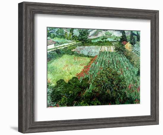 Field of Poppies, Saint-Remy, c.1889-Vincent van Gogh-Framed Premium Giclee Print