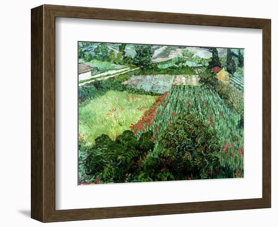 Field of Poppies, Saint-Remy, c.1889-Vincent van Gogh-Framed Premium Giclee Print