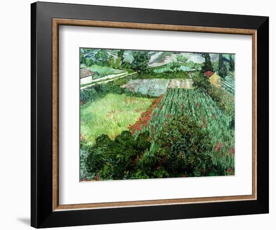 Field of Poppies, Saint-Remy, c.1889-Vincent van Gogh-Framed Premium Giclee Print