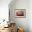 Field Of Poppies-Marion Rose-Framed Giclee Print displayed on a wall