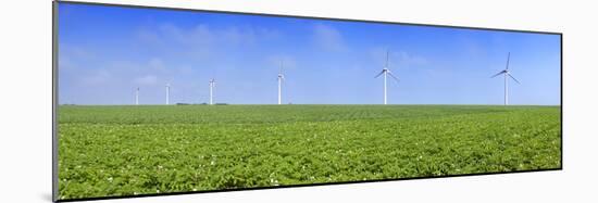 Field of Potatoes in Bloom with Wind Turbines, Thil-Manneville, Saint-Valery-En-Caux-null-Mounted Photographic Print