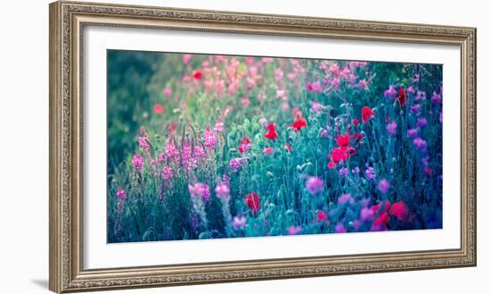 Field of Purple Flowers-Inguna Plume-Framed Photographic Print