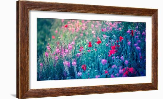 Field of Purple Flowers-Inguna Plume-Framed Photographic Print