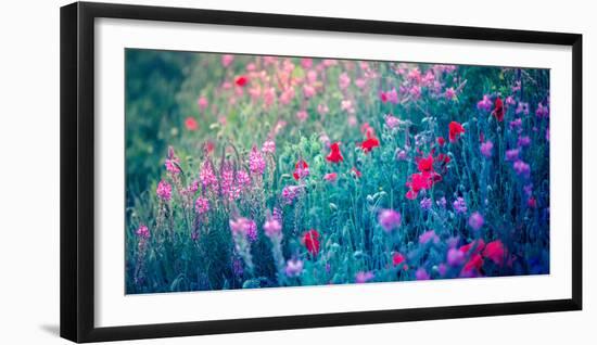 Field of Purple Flowers-Inguna Plume-Framed Photographic Print