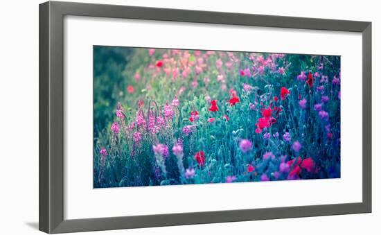 Field of Purple Flowers-Inguna Plume-Framed Photographic Print