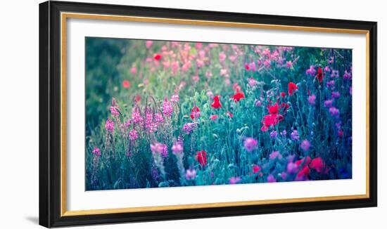 Field of Purple Flowers-Inguna Plume-Framed Photographic Print