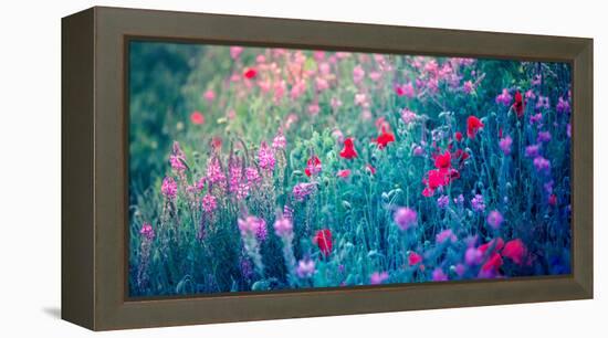 Field of Purple Flowers-Inguna Plume-Framed Premier Image Canvas