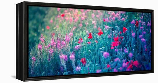 Field of Purple Flowers-Inguna Plume-Framed Premier Image Canvas