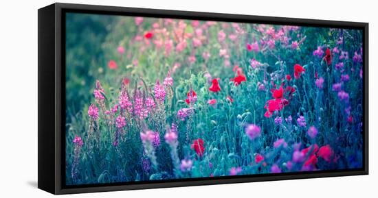 Field of Purple Flowers-Inguna Plume-Framed Premier Image Canvas