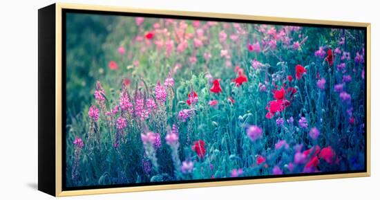 Field of Purple Flowers-Inguna Plume-Framed Premier Image Canvas