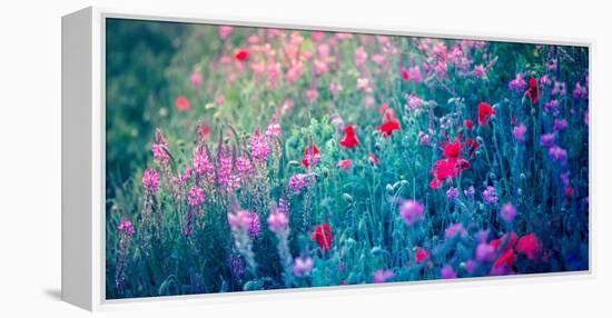 Field of Purple Flowers-Inguna Plume-Framed Premier Image Canvas
